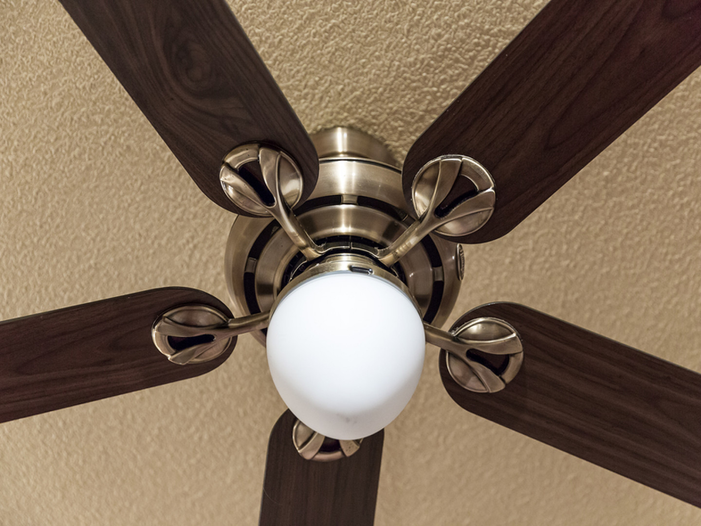 Ceiling Fan Installation: Frederick & Hagerstown, MD: Frederick, MD